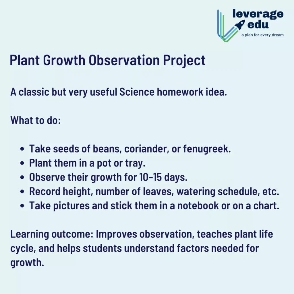 Holiday Homework for Class 6 Science