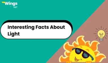 Interesting Facts About Light for Kids