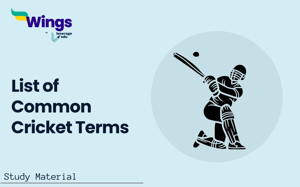 List of Common Cricket Terms