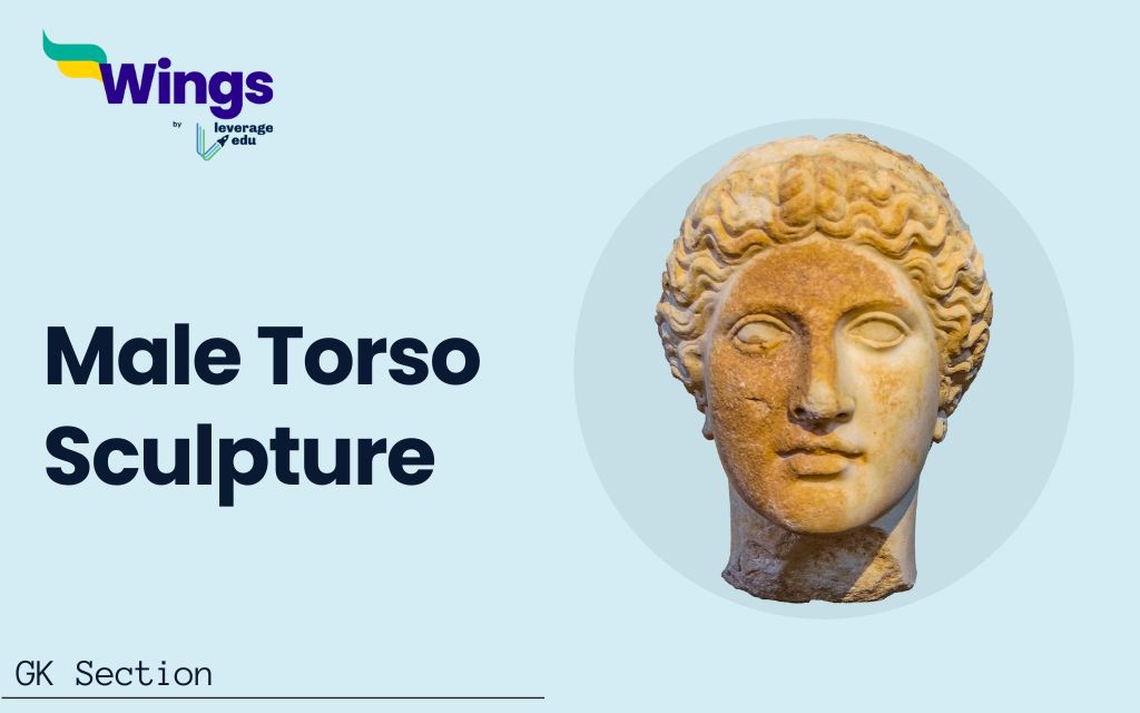 Male Torso Sculpture