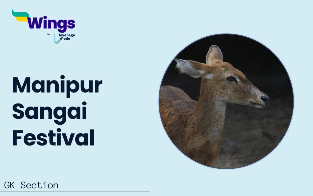 Manipur Sangai Festival