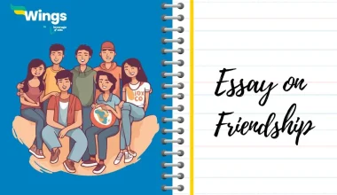 Essay on Friendship