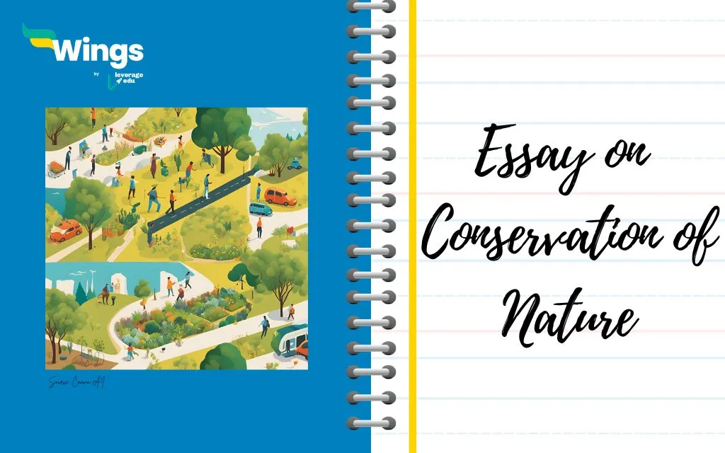 Essay on Conservation of Nature