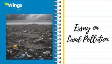 Essay on Land Pollution