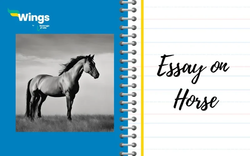 Essay on Horse