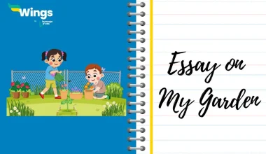 Essay on My Garden