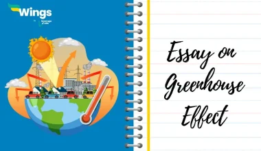 Essay on Greenhouse Effect