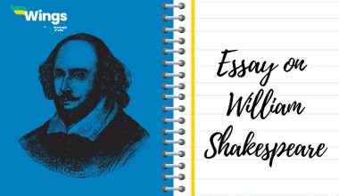 Essay on William Shakespeare