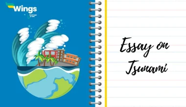Essay on Tsunami
