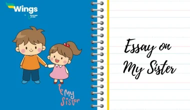 Essay on My Sister