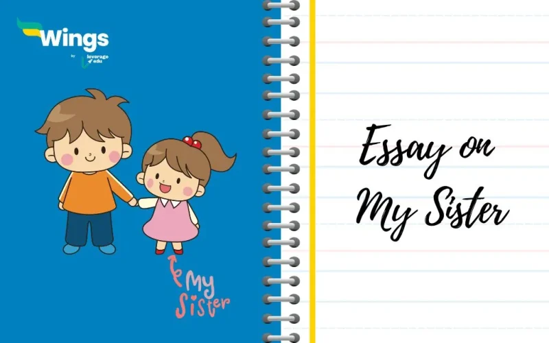 Essay on My Sister