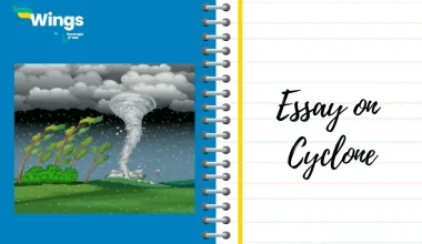 Essay on Cyclone