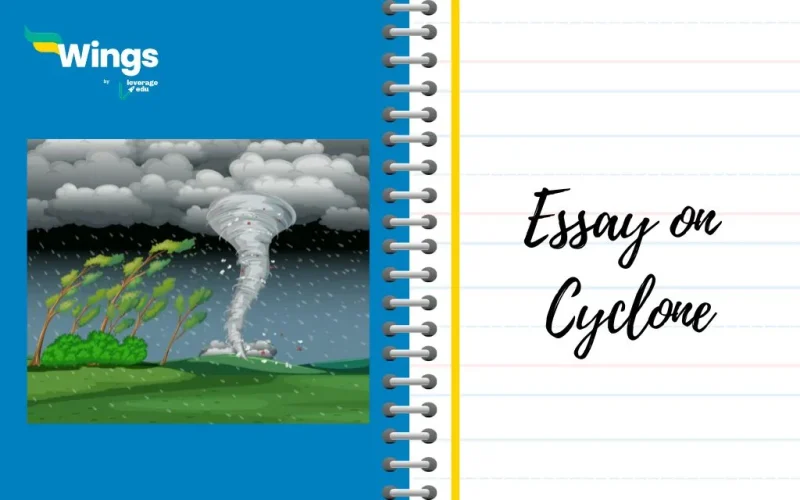 Essay on Cyclone