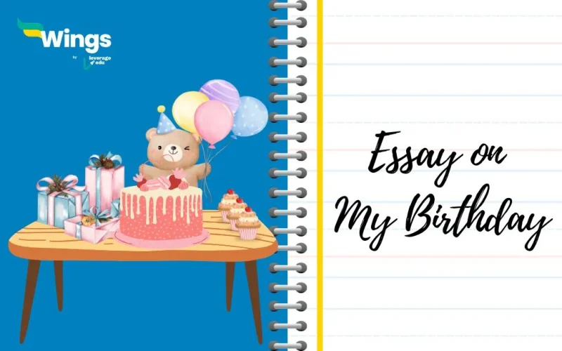 Essay on My Birthday