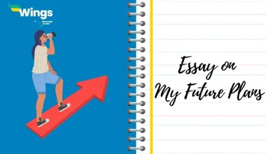 Essay on My Future Plans