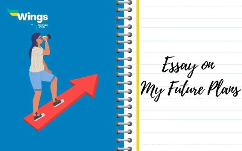 Essay on My Future Plans