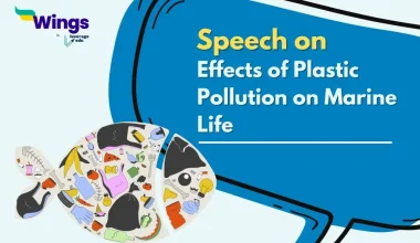 Speech on Effects of Plastic Pollution on Marine Life