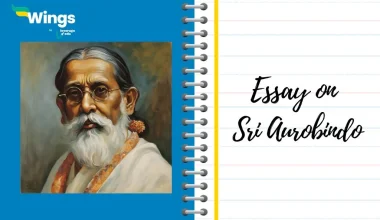 Essay on Sri Aurobindo