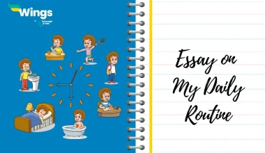 Essay on My Daily Routine