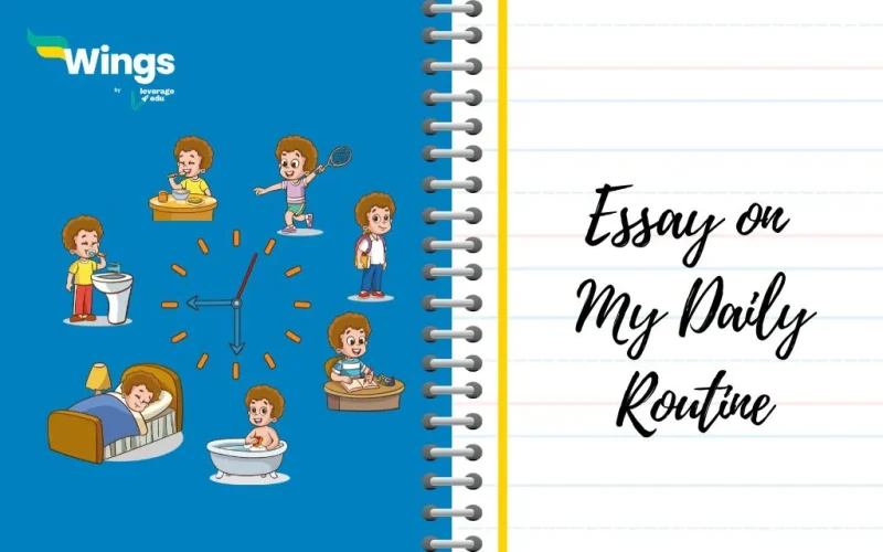 Essay on My Daily Routine