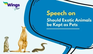 Should Exotic Animals be Kept as Pets