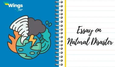 Essay on Natural Disaster