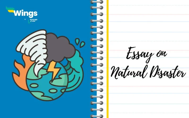 Essay on Natural Disaster