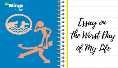 Essay on the Worst Day of My Life