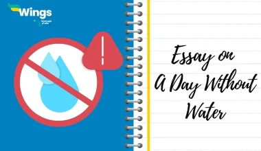 Essay on a Day Without Water