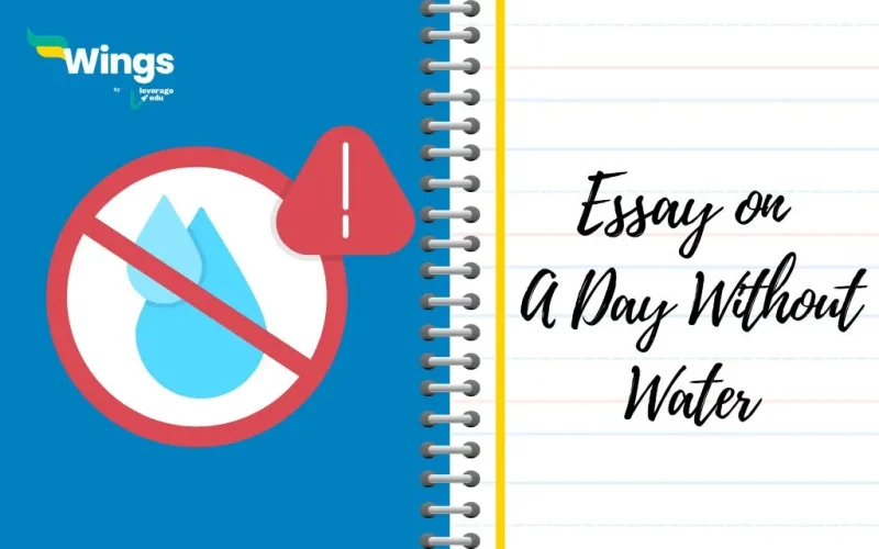 Essay on a Day Without Water