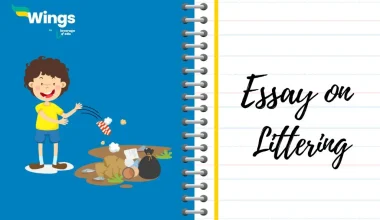 Essay on Littering