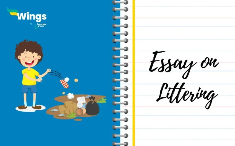 Essay on Littering