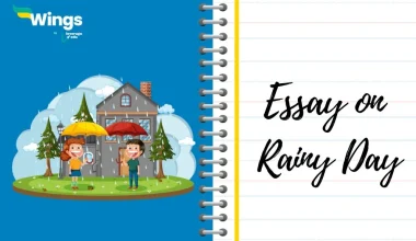 Essay on Rainy Day