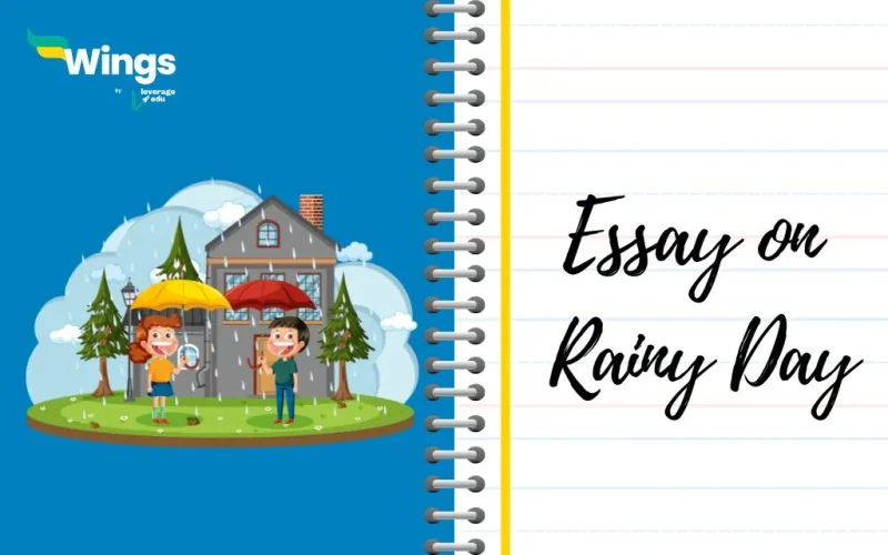 Essay on Rainy Day