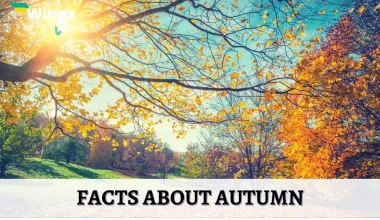 Facts-About-Autumn