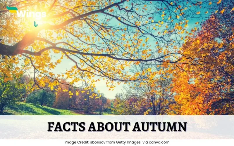 Facts-About-Autumn