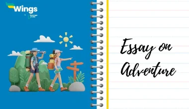 Essay on Adventure