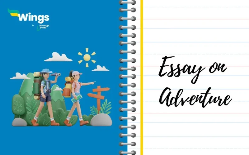 Essay on Adventure
