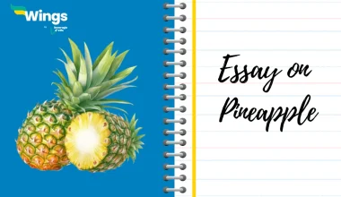 Essay on Pineapple