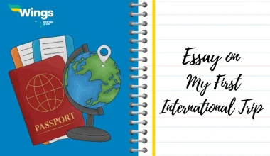 My First International Trip Essay
