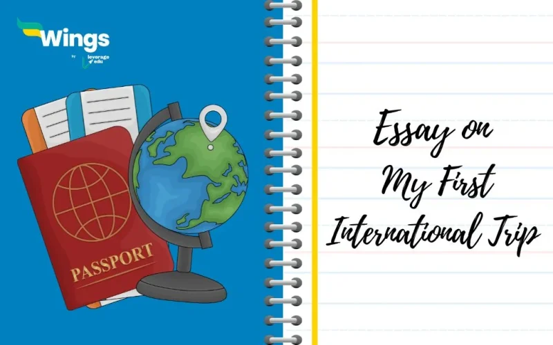My First International Trip Essay