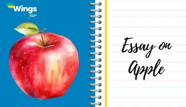 essay on apple