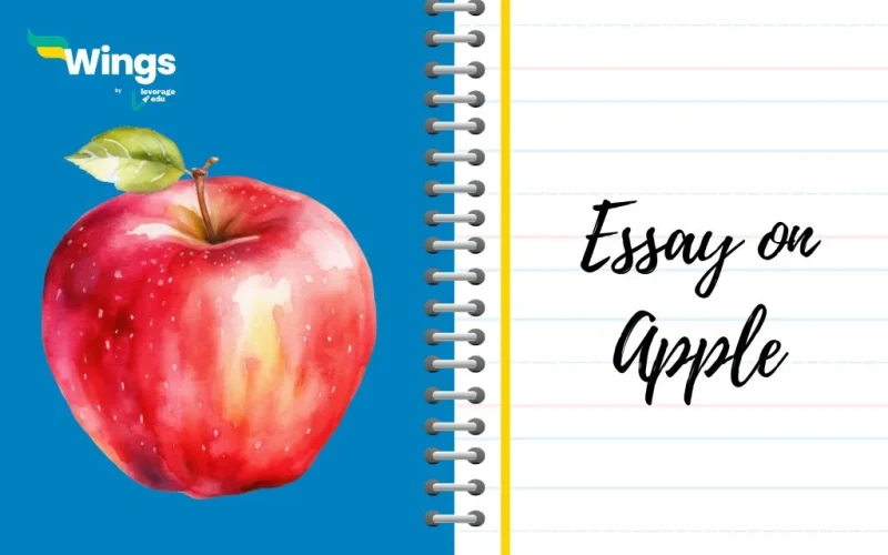 essay on apple