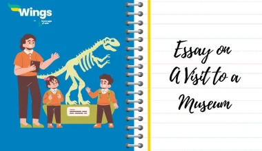 Essay on A Visit to a Museum