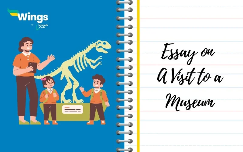 Essay on A Visit to a Museum