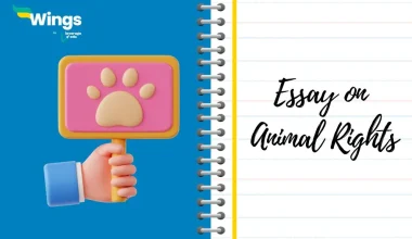 Essay on Animal Rights