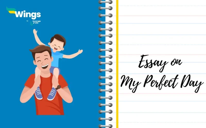 Essay on My Perfect Day