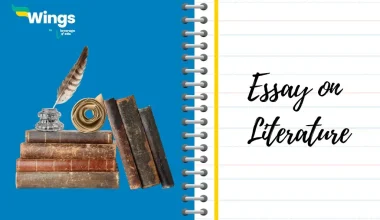 essay on Literature