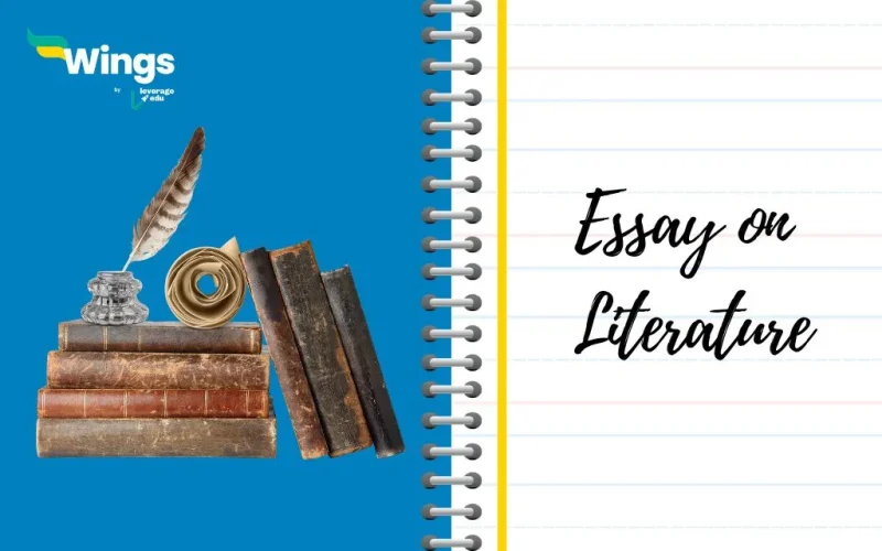 essay on Literature