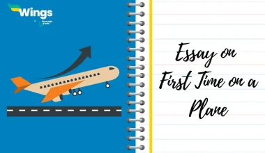 Essay on First Time on a Plane